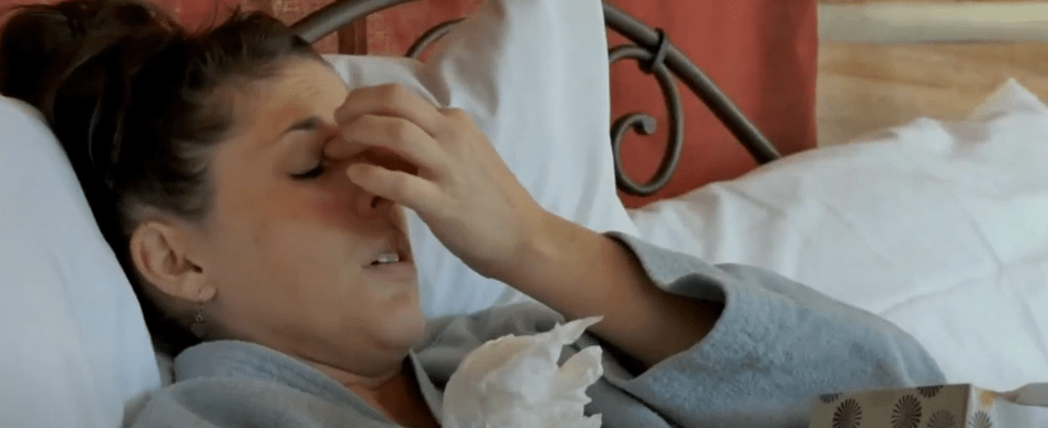 PARA SUPERAR EL RESFRIO ACONSEJAN CONSUMIR MIEL DE&nbsp;ABEJAS