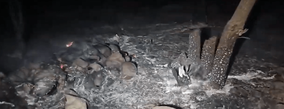 BOMBEROS SOFOCAN INCENDIO EN TOMATITAS QUE PARECÍA&nbsp;EXTENDERSE