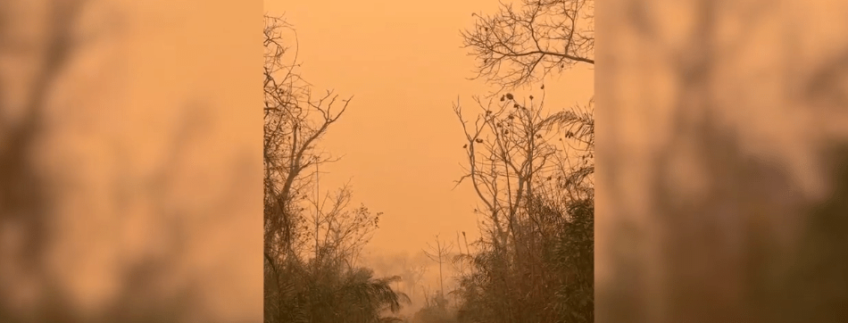 UNIVERSIDAD INICIA CAMPAÑA DE VÍVERES PARA COMBATIR&nbsp;INCENDIOS