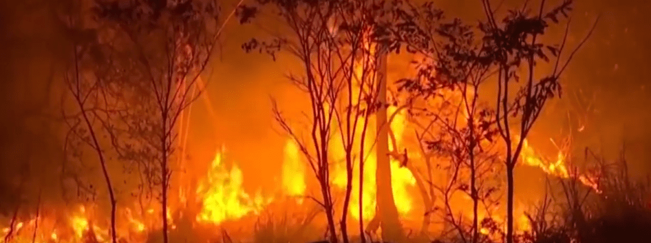 PIDEN ABROGAR «LEYES INCENDIARIAS» QUE PROMUEVEN DEFORESTACIÓN EN&nbsp;BOLIVIA