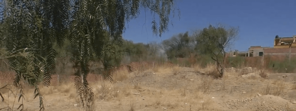 FEDJUVE DENUNCIA INSEGURIDAD EN LOTES BALDÍOS SOLICITAN SANCIONES PARA&nbsp;PROPIETARIOS