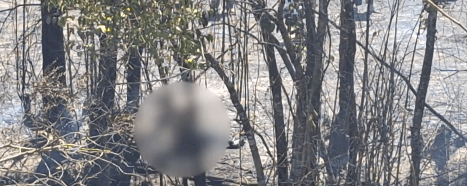 FISCALÍA INVESTIGA TRAGEDIA POR INCENDIO EN SAN&nbsp;LORENZO