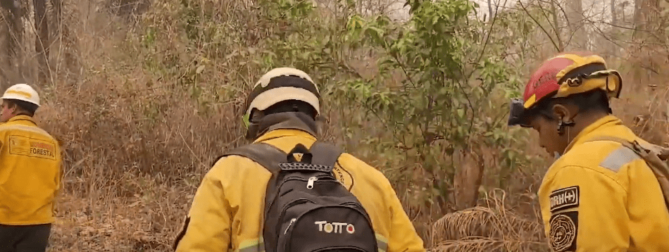 PIDEN AUMENTAR PENAS POR INCENDIOS&nbsp;FORESTALES