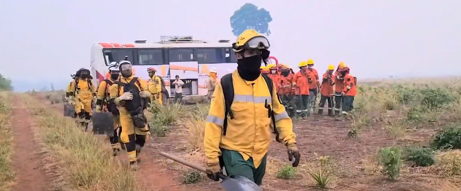 DEFENSOR DEL PUEBLO INTERPONE ACCIÓN POPULAR POR&nbsp;INCENDIOS