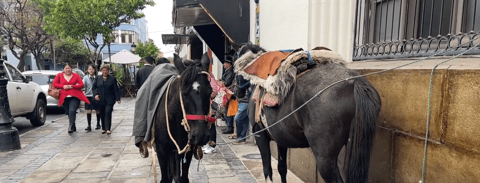 LANZAN LA «GUARDIA MONTADA» PARA PROTEGER ÁREAS&nbsp;VERDES