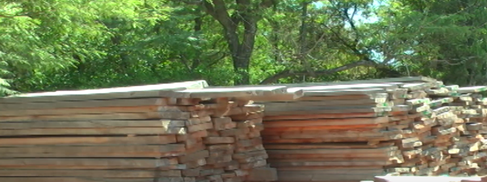 DENUNCIAN TALA ILEGAL DE ARBOLES EN LA COMUNIDAD DE SAN&nbsp;AGUSTÍN