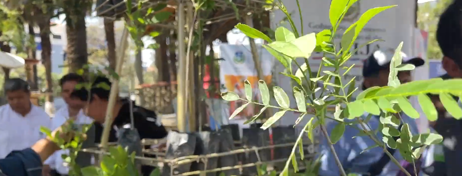 GOBERNACIÓN LANZÓ CAMPAÑA DE REFORESTACIÓN EN TARIJA POR EL DÍA DEL&nbsp;ARBOL