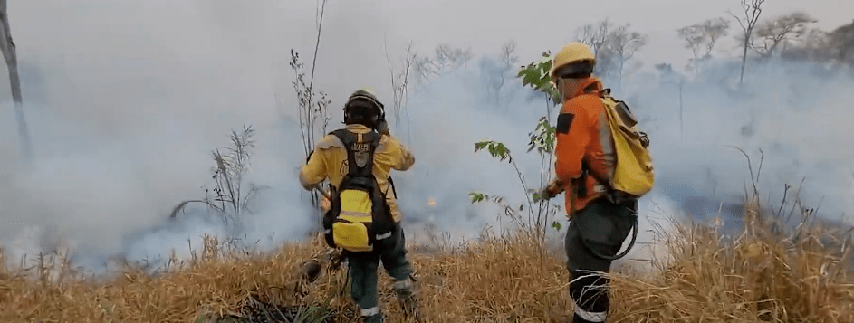 SENADORA GALLO IMPULSA ABROGACIÓN DE LEYES DE&nbsp;CHAQUEO