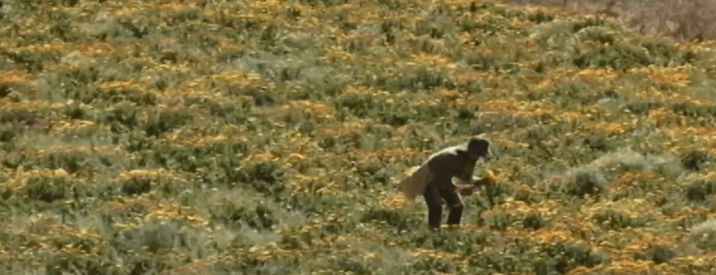 PRODUCTORES CAMPESINOS DENUNCIAN ESCASEZ DE AGUA Y ALZA DE&nbsp;PRECIOS