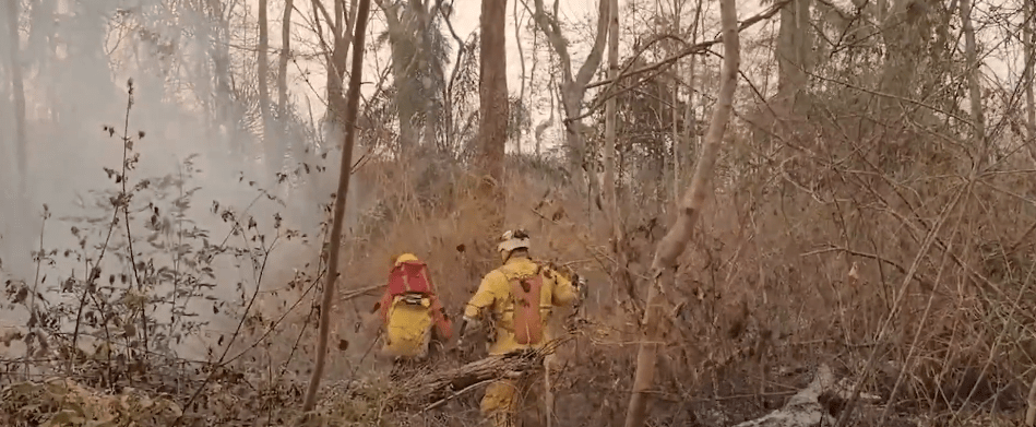 EXIGEN SANCIONES EJEMPLARES CONTRA RESPONSABLES DE INCENDIOS EN EL ORIENTE&nbsp;BOLIVIANO