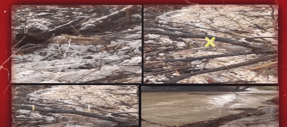 PINOS SUD: BUSCAN A RESPONSABLES DE ECHAR POLLOS MUERTOS EMBOLSADOS AL&nbsp;RIO