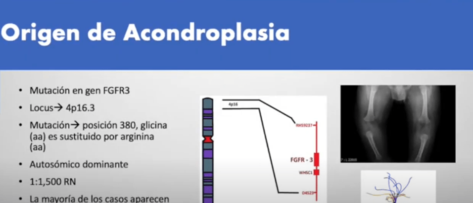PIDEN RESPETO Y AFECTO A PERSONAS DE TALLA&nbsp;BAJA