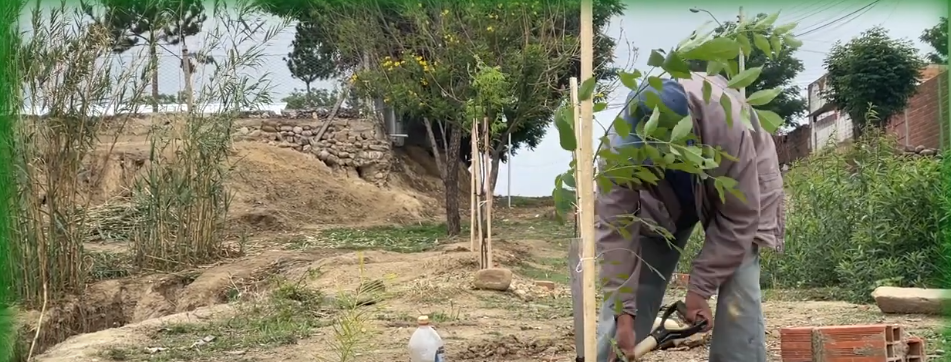 CONCEJO MUNICIPAL CONTINUA CON EXITOSA CAMPAÑA DE&nbsp;ARBORIZACIÓN