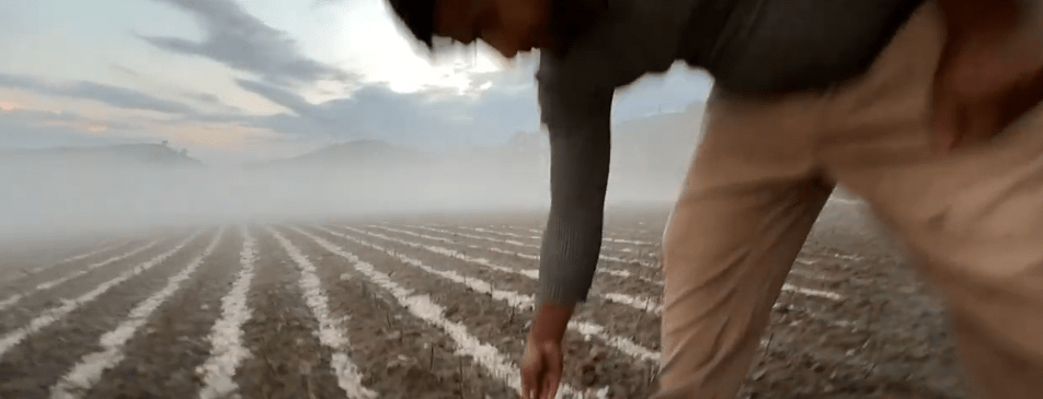 EVALÚAN DAÑOS DE GRANIZADAS PARA GESTIONAR AYUDA A&nbsp;DAMNIFICADOS