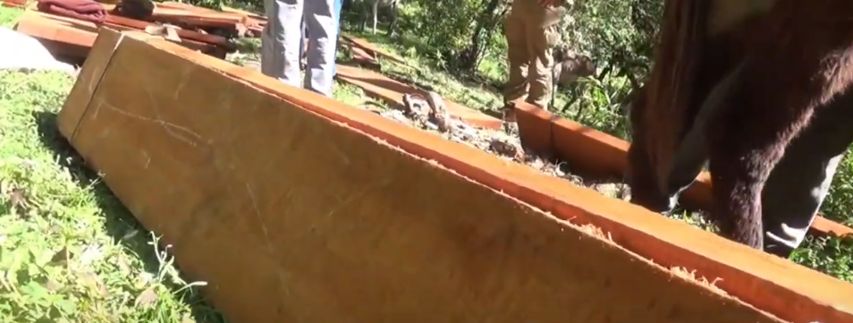 MUNICIPIO Y LA ABT DECOMISAN MADERA DESTINADA AL&nbsp;CONTRABANDO