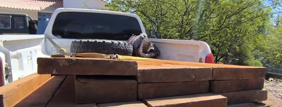 LA AUTORIDAD DE BOSQUES INCAUTA TABLARES DE CEDRO&nbsp;ILEGALES