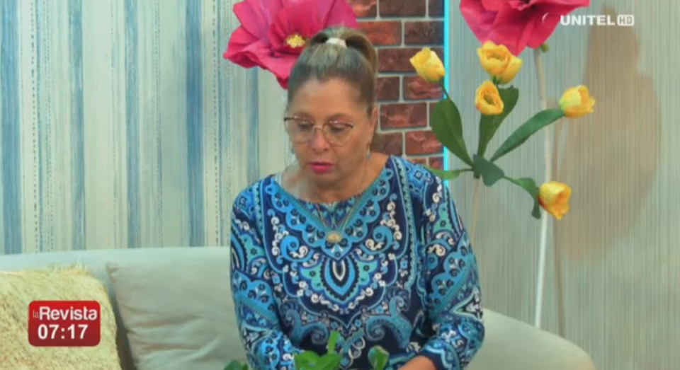 LA REVISTA UNITEL TARIJA EN DIRECTO lunes 25 de noviembre de&nbsp;2024