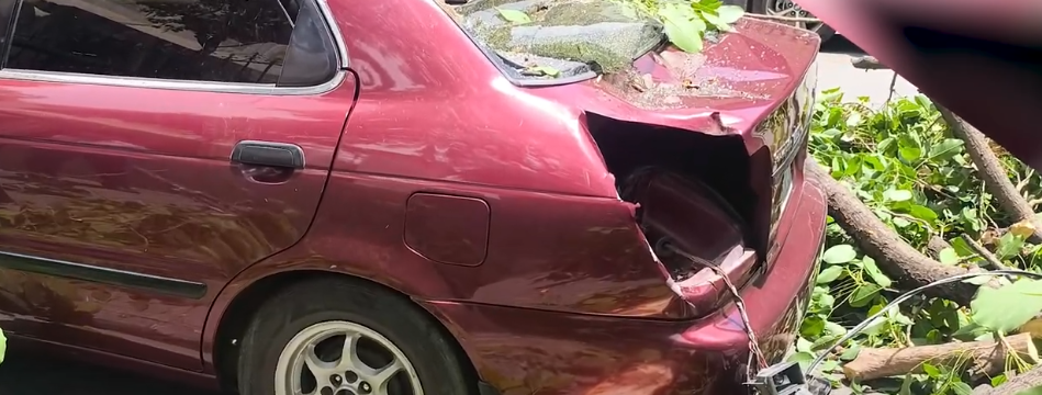 RAMA CAYÓ SOBRE 2 MOTORIZADOS EVIDENCIANDO DETERIORO DE&nbsp;ÁRBOLES