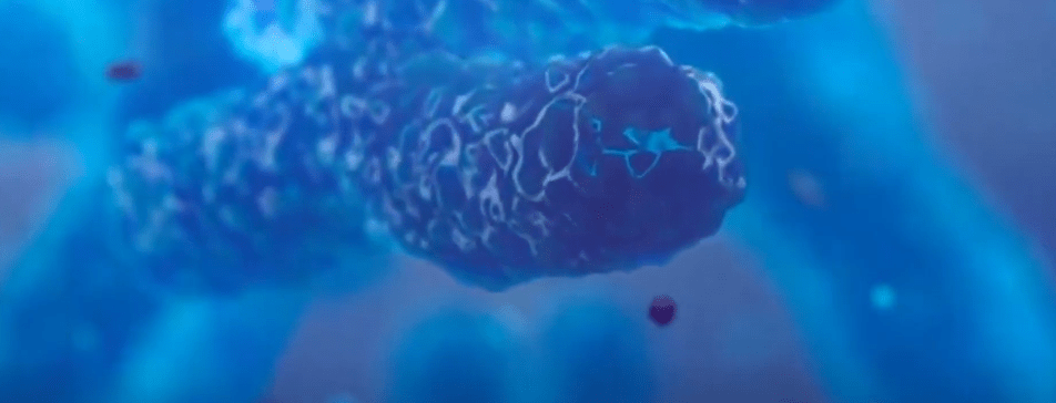 FALTA DE HIGIENE PROVOCA INFECCIONES&nbsp;INTESTINALES