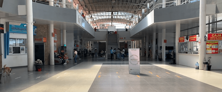 FALTA DE DIESEL PROVOCA REDUCCIÓN DE VIAJES&nbsp;NACIONALES