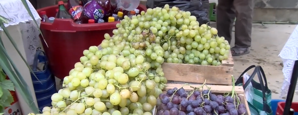 INICIAN COSECHA DE UVA PERO PRODUCTORES DENUNCIAN SUBIDA DE&nbsp;PRECIOS