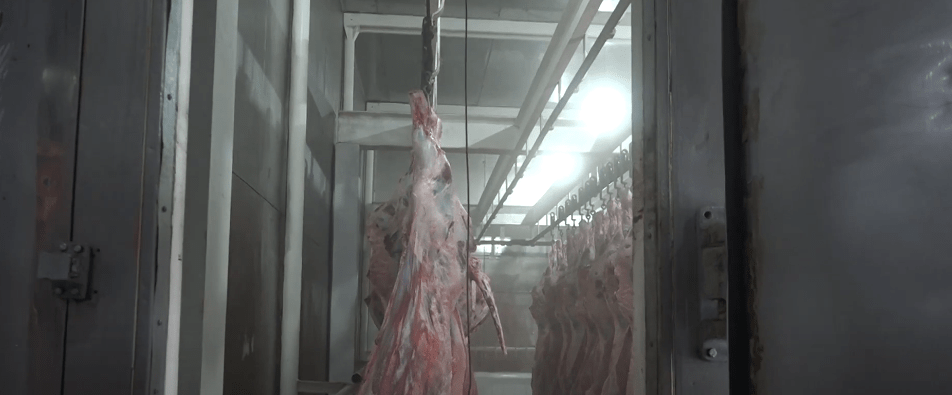 MATADERO TRABAJARÁ LOS DOMINGOS PARA ABASTECER DE CARNE DE&nbsp;CERDO