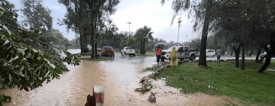 FUERTE TORMENTA PROVOCÓ TAPONAMIENTOS, INUNDACIONES Y CAÍDA DE&nbsp;ARBOLES