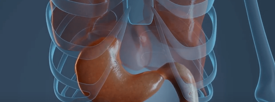 HAY QUE REFORZAR LAS DEFENSAS CONTRA INFECCIONES&nbsp;ESTOMACALES