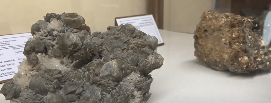 DIRECTOR DEL MUSEO ANUNCIÓ HALLAZGO DE NUEVOS&nbsp;FÓSILES