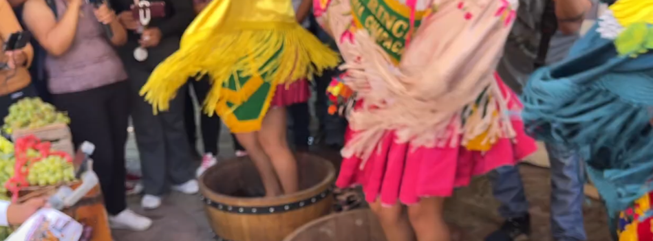 CONFIRMAN VENDIMIA CHAPACA EN “EL VALLE” LOS DÍAS 1 Y 2 DE&nbsp;MARZO