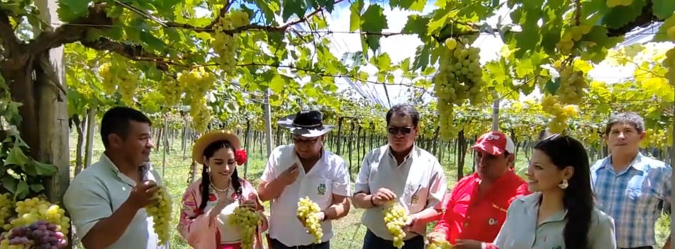 MONTES INAUGURA COSECHA EN “CEVITA” COMO RESPALDO A&nbsp;VITVINICULTORES