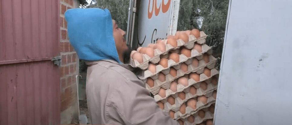 AVÍCOLAS: FALTA DE DIESEL IMPIDE TRANSPORTAR HUEVOS A&nbsp;MERCADOS