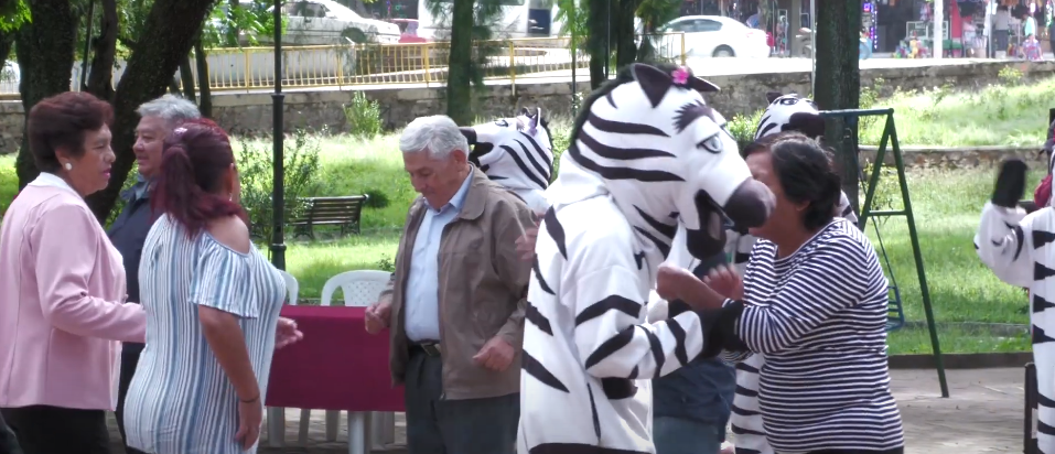 CONTINÚA DESPOJO DE BIENES A ABUELOS POR PARTE DE SUS PROPIOS&nbsp;HIJOS