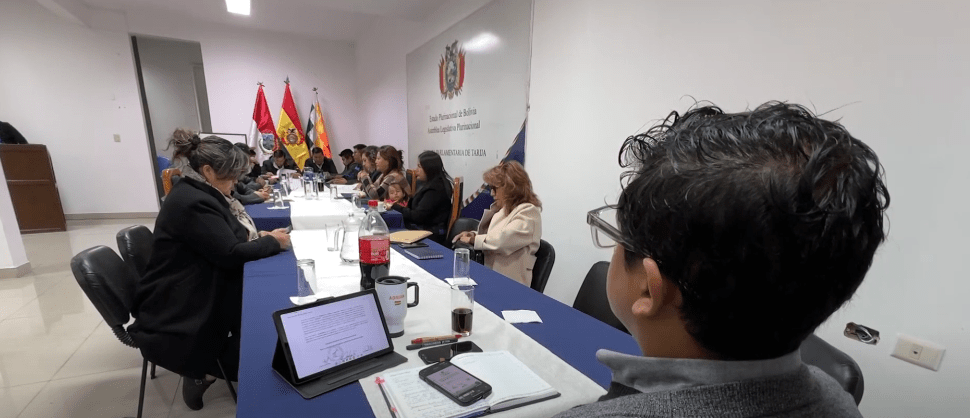 CALIFICAN A BRIGADISTAS DE TARIJA COMO “CALIENTA&nbsp;ASIENTOS”