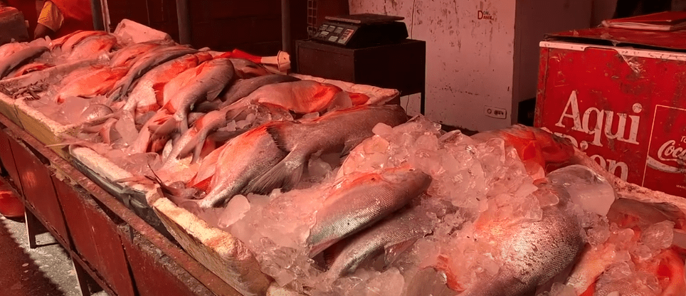 PESE A SUBIDA DE PRECIOS SE ESPERA ALTO CONSUMO DE&nbsp;PESCADO