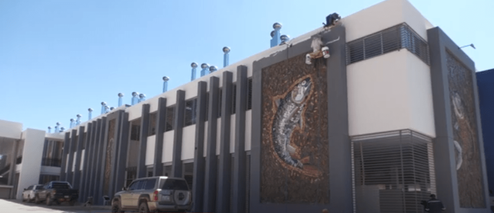 VENDEDORAS DE PESCADO AFIRMAN QUE NUEVO MERCADO NO PUEDE&nbsp;FUNCIONAR