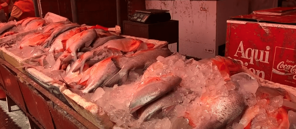 ANUNCIAN CONTROLES PARA EVITAR VENTA ILEGAL DE SÁBALO DE VILLA&nbsp;MONTES