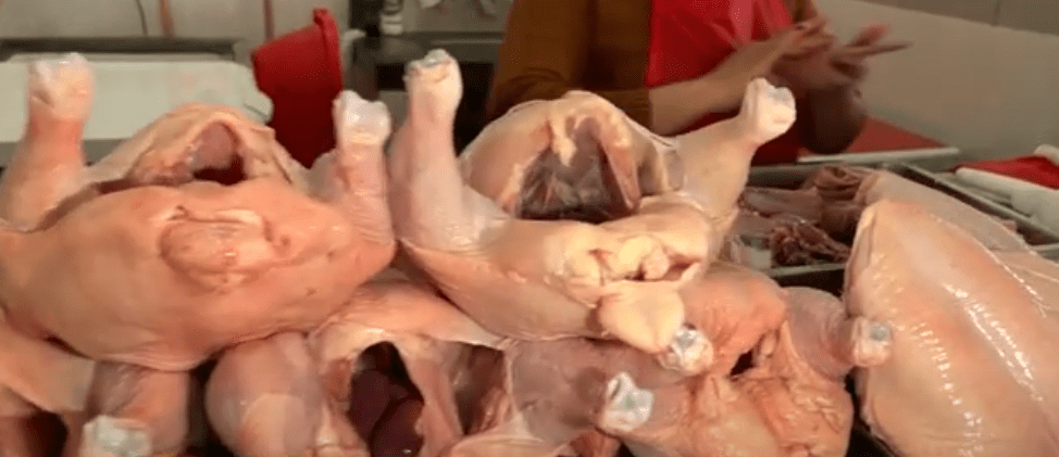 PRECIO DE CARNE DE POLLO BAJA A BS. 19 EL KILO EN VENTAS POR&nbsp;MAYOR