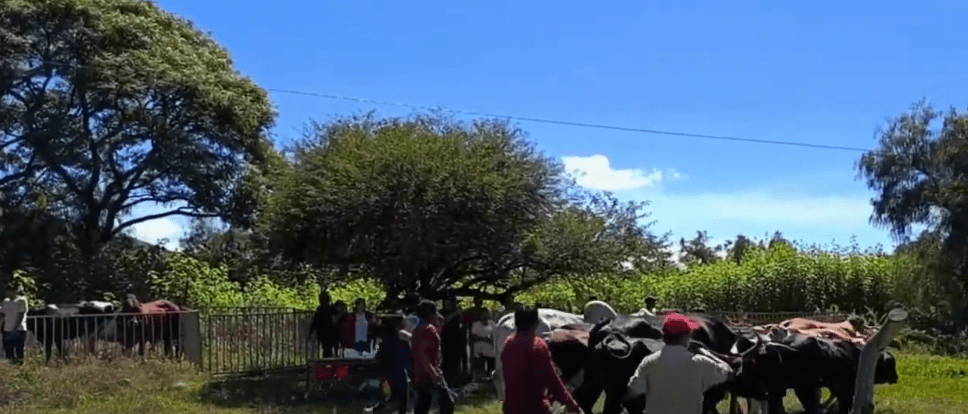 DENUNCIAN FERÍA DE SAN ANDRES POR NO VENDER&nbsp;CARNE