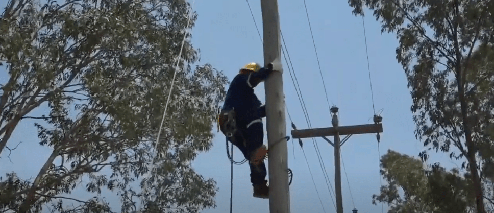 CON 5 MILLONES DE DÓLARES SETAR TRABAJA EN ELECTRIFICACIÓN&nbsp;RURAL