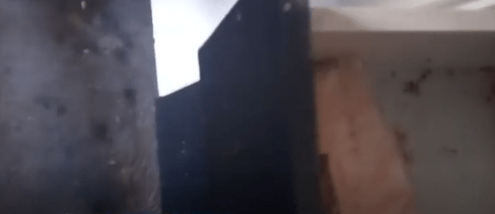 CLAUSURAN POR 2 DÍAS PESCADERÍA CONTAMINADA CON HECES DE&nbsp;RATÓN